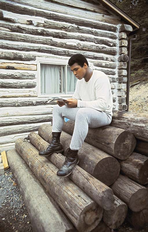 96fe3aa4bd6365cf770639babb9b49df